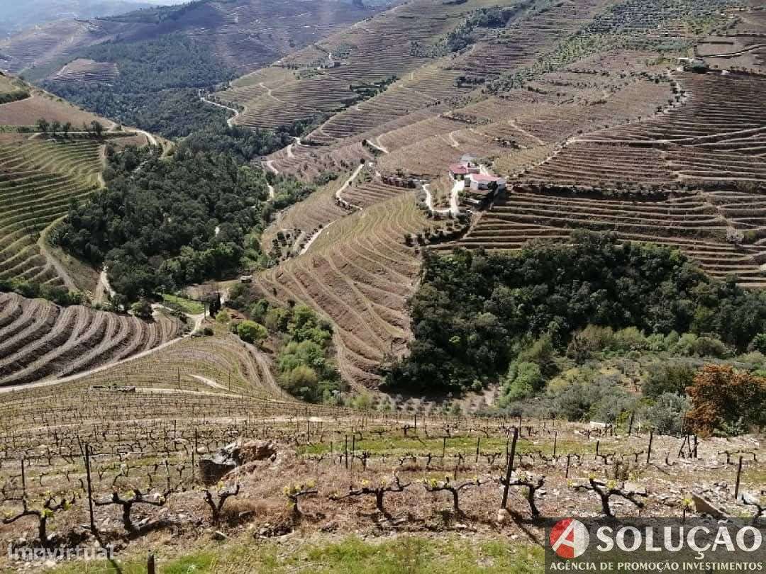 Quinta em Vila Real-0