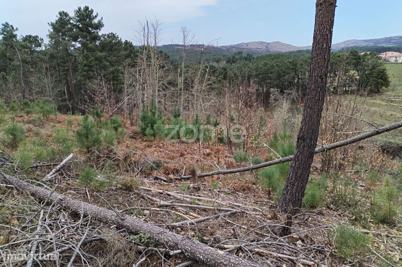 Terreno agricola e florestal.-18