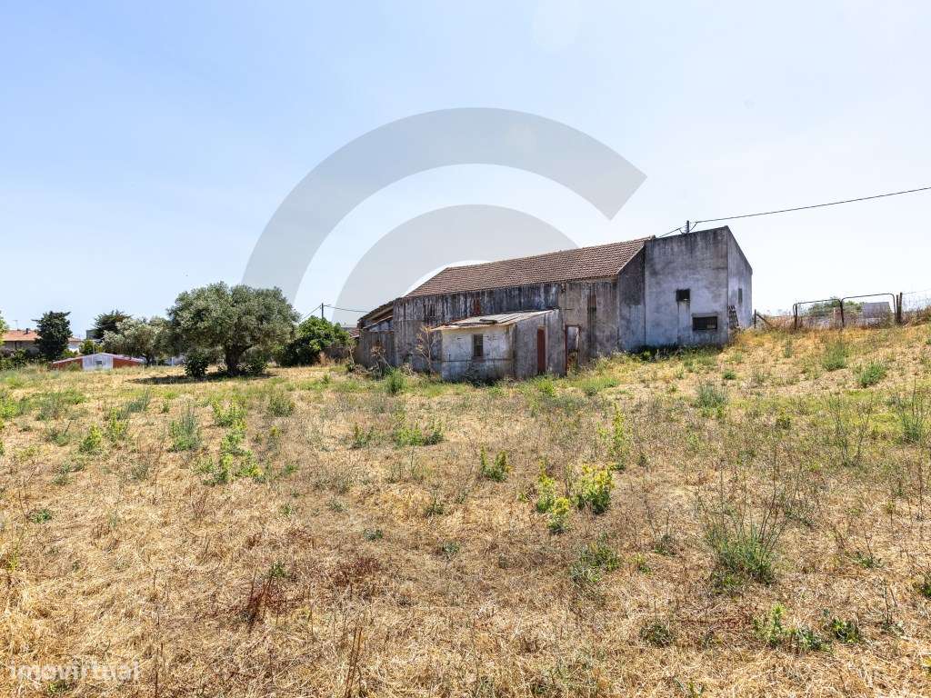 Armazém e terreno com possibilidades de construção - Grande imagem: 5/9