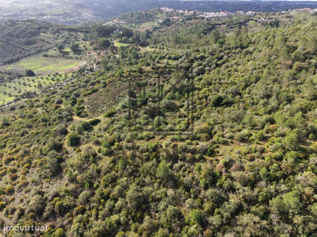 Oportunidade Única de Investimento Agrícola em Alenquer-9