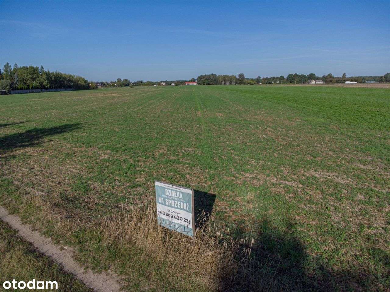 Działka budowlana inwestycyjna 3100 i wiecej - Pełny obrazek: 5/12