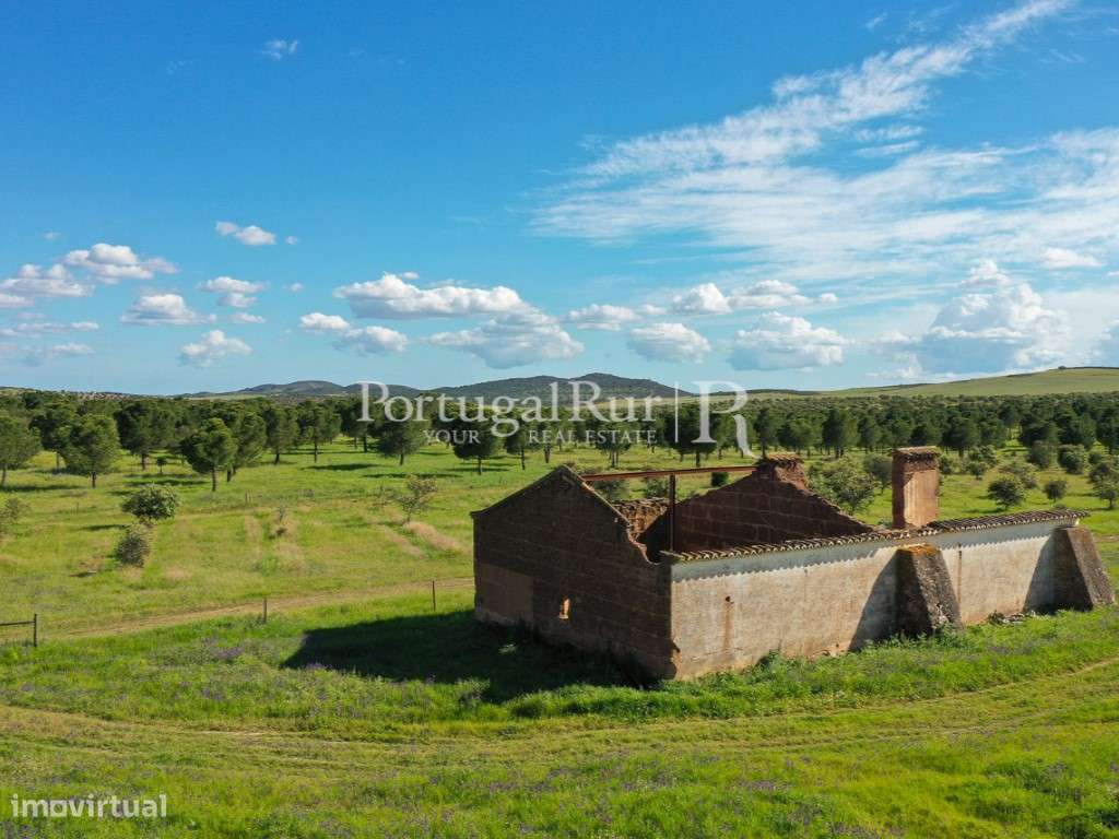 Herdades de Caça com 1300 Hectares, junto do rio Guadiana-42