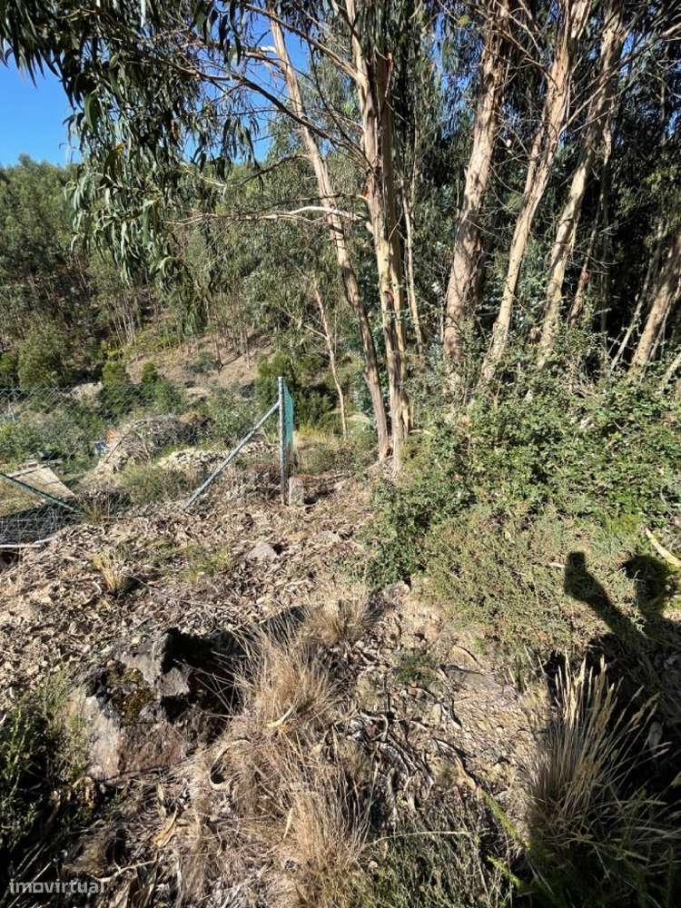 Terreno Localizado em Varziela - 75 000m2 - Grande imagem: 4/12