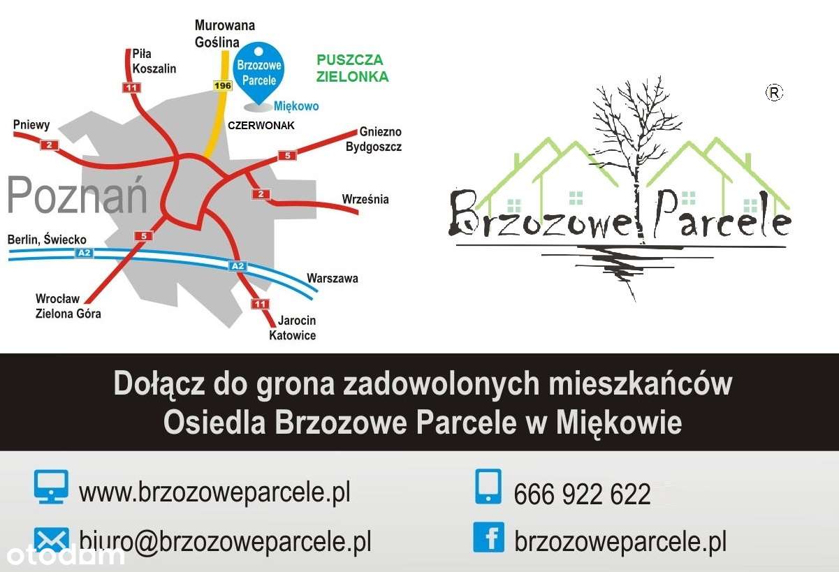 Skrajny segment z ogrodem w lesie-11