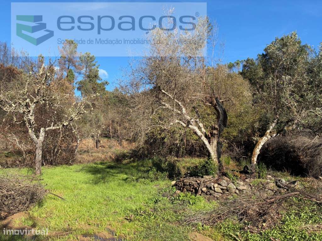 Quinta - Grande imagem: 2/24