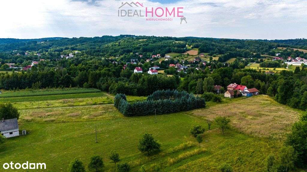 Działki budowlane - Siedliska (ostatnia) - Pełny obrazek: 4/16