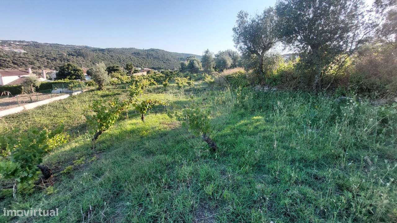 Terreno  para venda - Grande imagem: 4/24