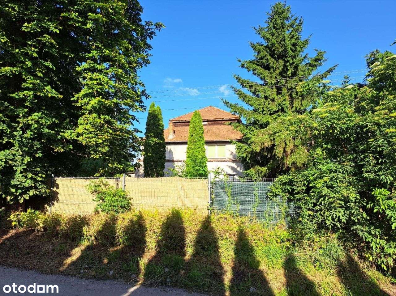 Budynek mieszkalny do remontu - Pełny obrazek: 5/8