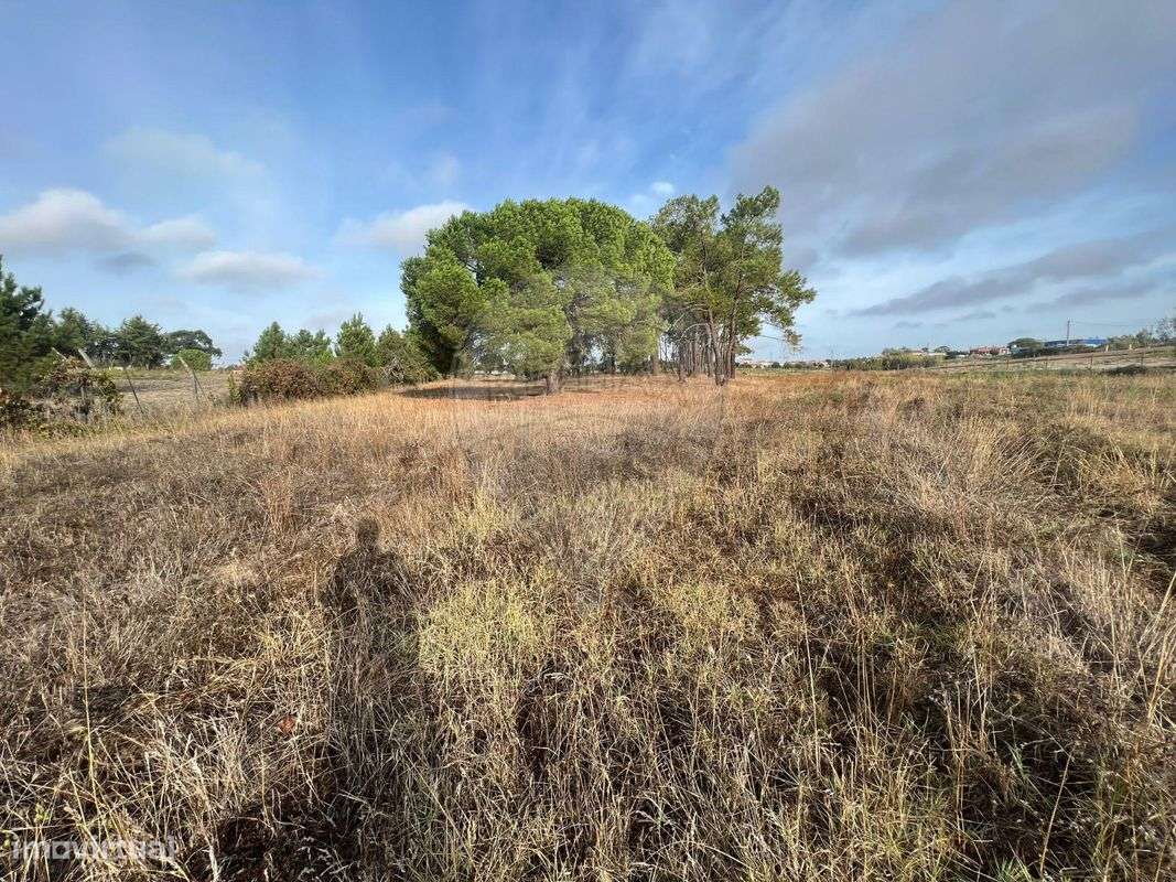 Terreno  para venda - Grande imagem: 5/10