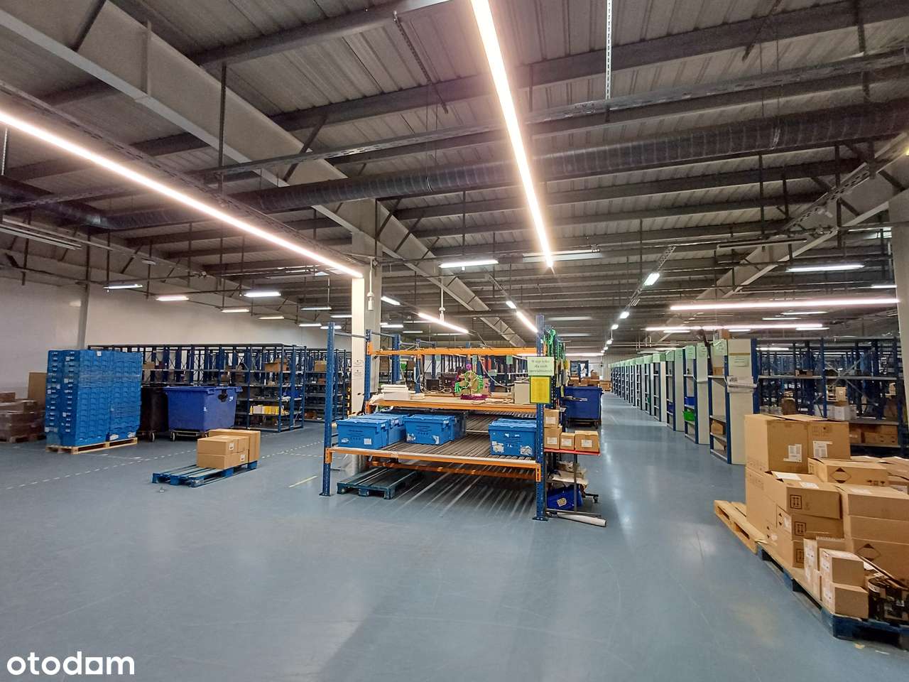 Błonie – teren inwestycyjny z halą i biurem, cena do negocjacji!-6