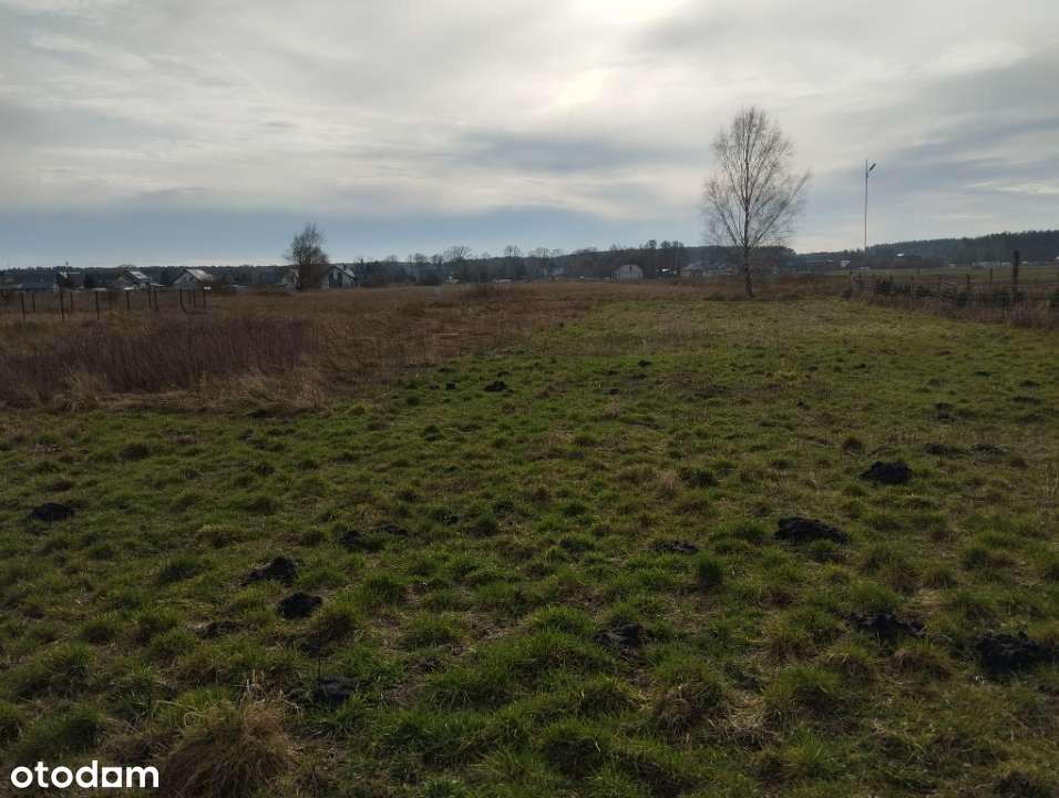 Działka budowlana 1958m2 - Pełny obrazek: 2/3