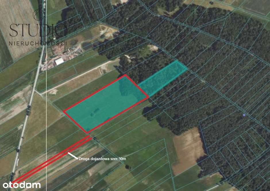 Działki siedliskowe Szerenosy gm. Juchnowiec Kość - Pełny obrazek: 4/5