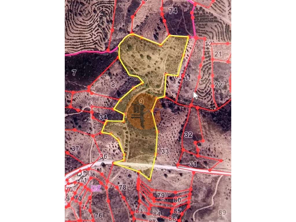 TERRENO COM 31.200 M2 - POSSIBILIDADE DE CONSTRUÇÃO DE ARMAZÉM - AP... - Grande imagem: 2/60