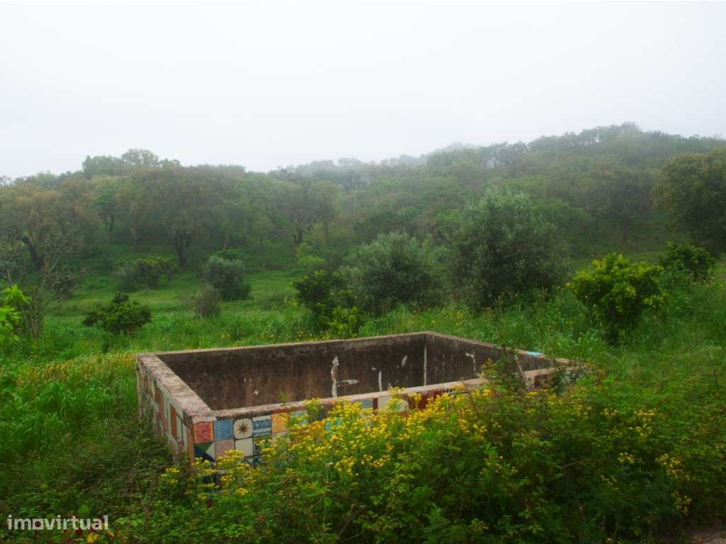 EXCLUSIVO! Quinta com Enorme Potencial no Coração do Alentejo Um Re...-50