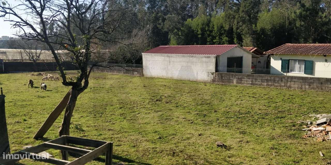 Terreno urbano -São Vicente Pereira - Grande imagem: 3/7