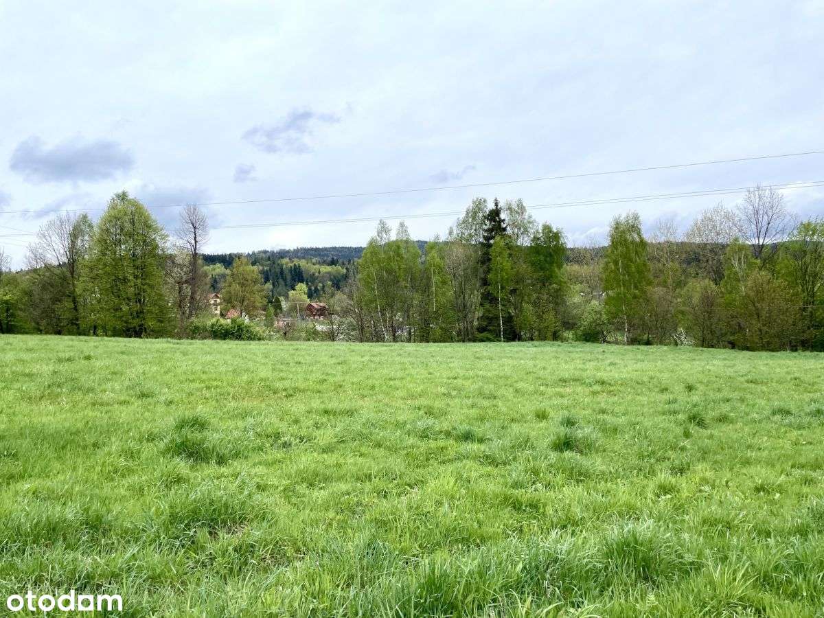 Atrakcyjna działka rolna - Gilowice k. Żywca - Pełny obrazek: 4/14