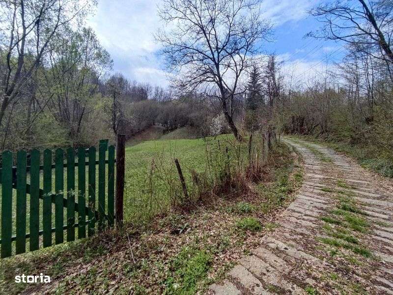 Teren intravilan, Provita de Sus, Prahova - Imagine principală: 5/6