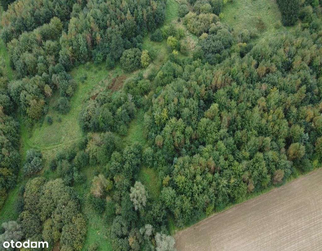 Obniżka!Działka z potencjałem - dawnym szlakiem Wikingów.-16