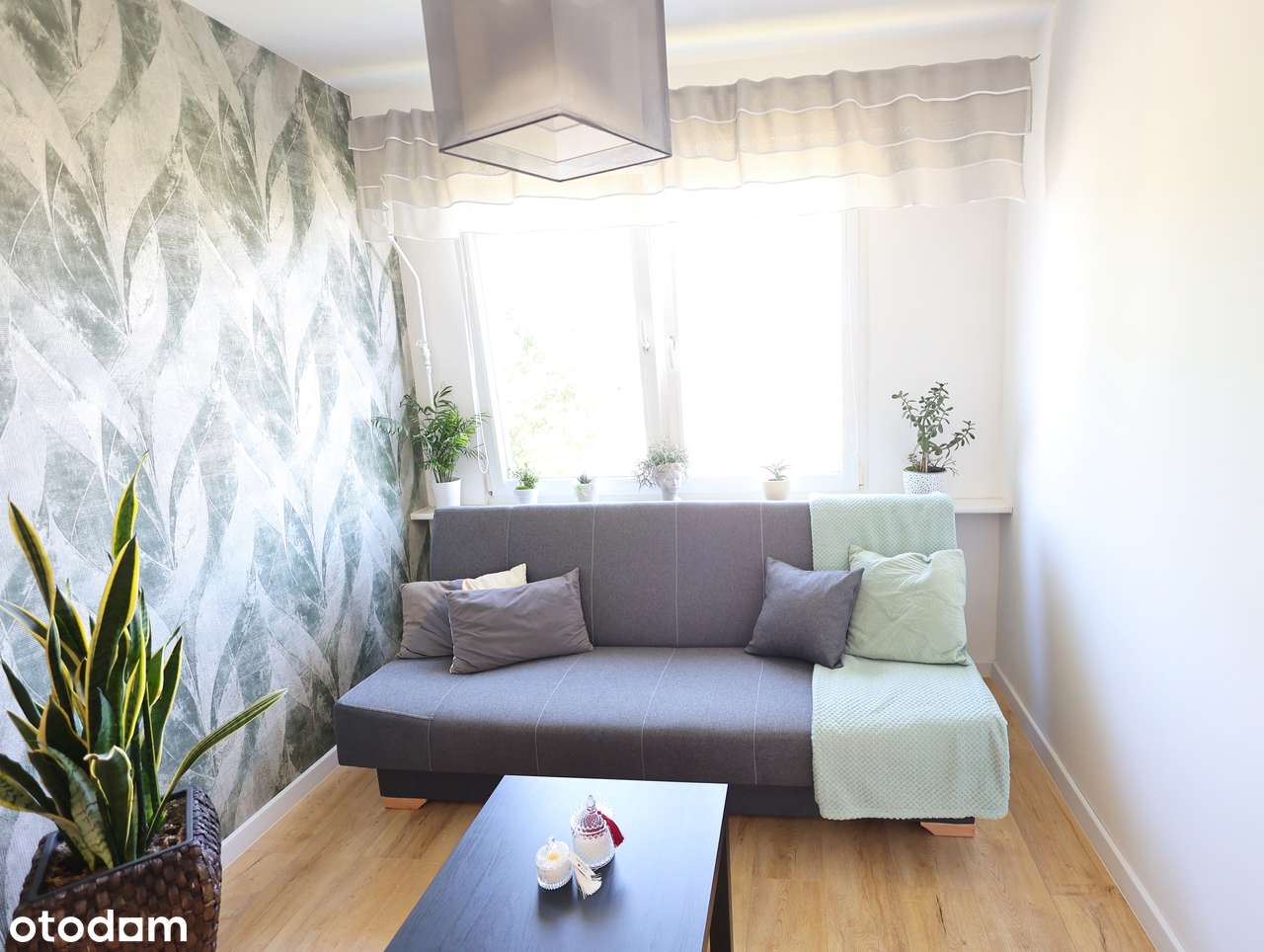 Komfortowe 3-pokojowe mieszkanie po generalnym remoncie – Kalisz-13