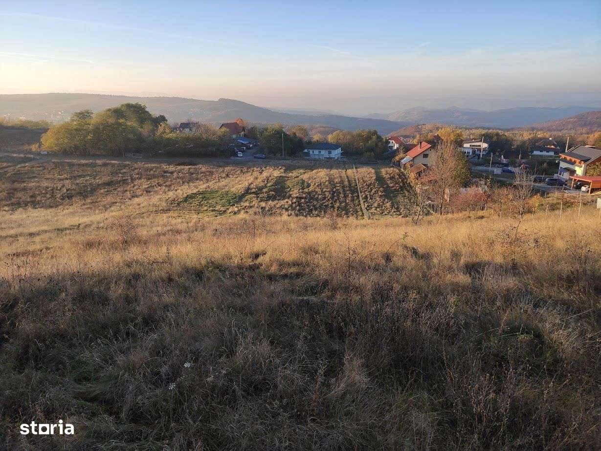 PF Vand Teren Intravilan Salicea - 118Euro/mp - Imagine principală: 3/5