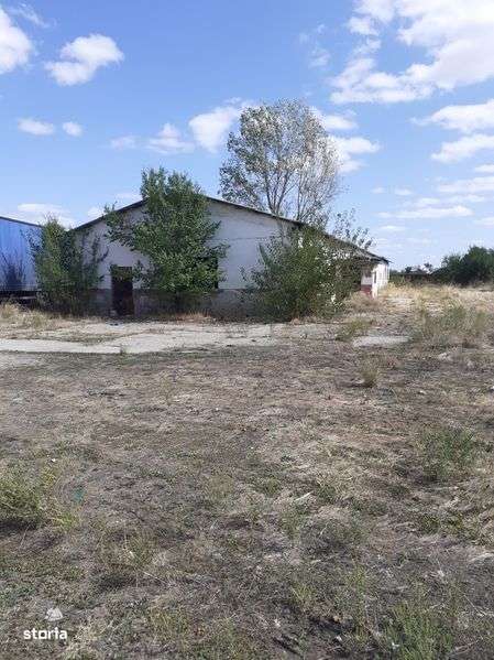 Vand teren cu cladiri in comuna Suseni - Imagine principală: 5/8