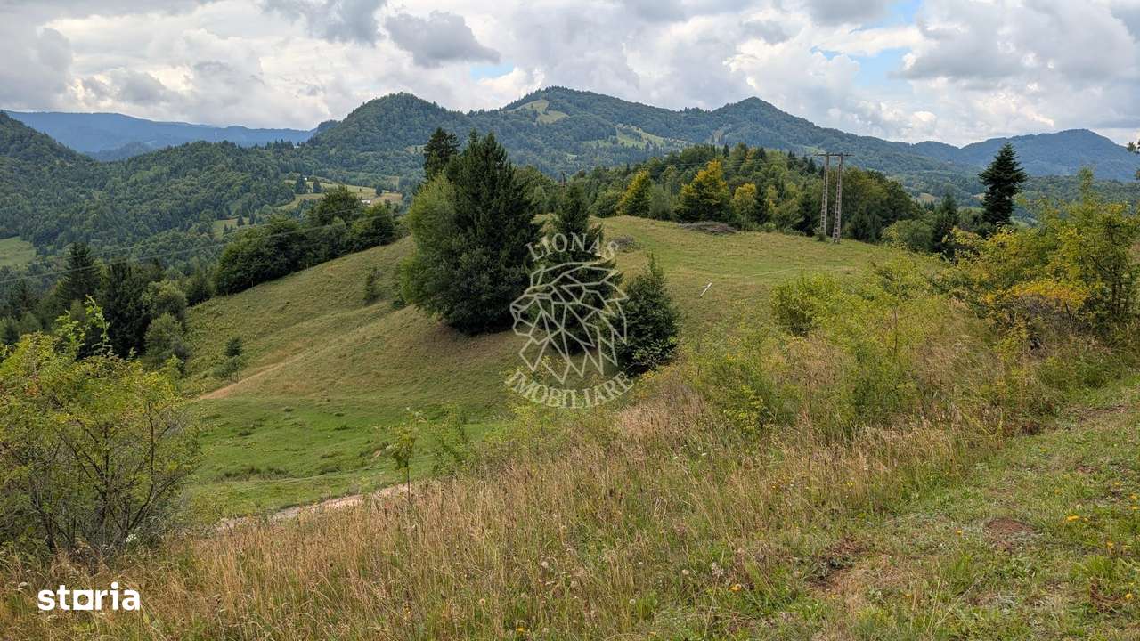 Parcele teren cu Panorama la Lac Colibita-ideal Cabana COMISION 0% - Imagine principală: 2/7