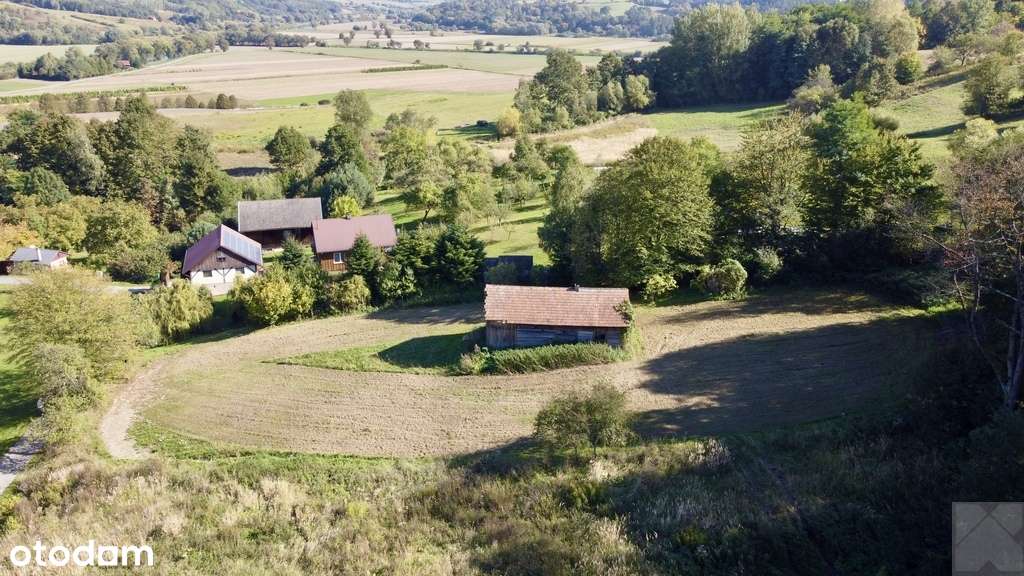 Działka budowlana 25 ar. z drewnianą chatą 8 km od Krasiczyna-1