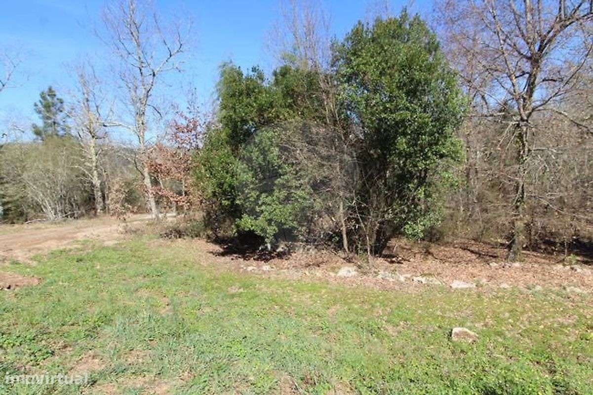 Terreno  para venda - Grande imagem: 4/4