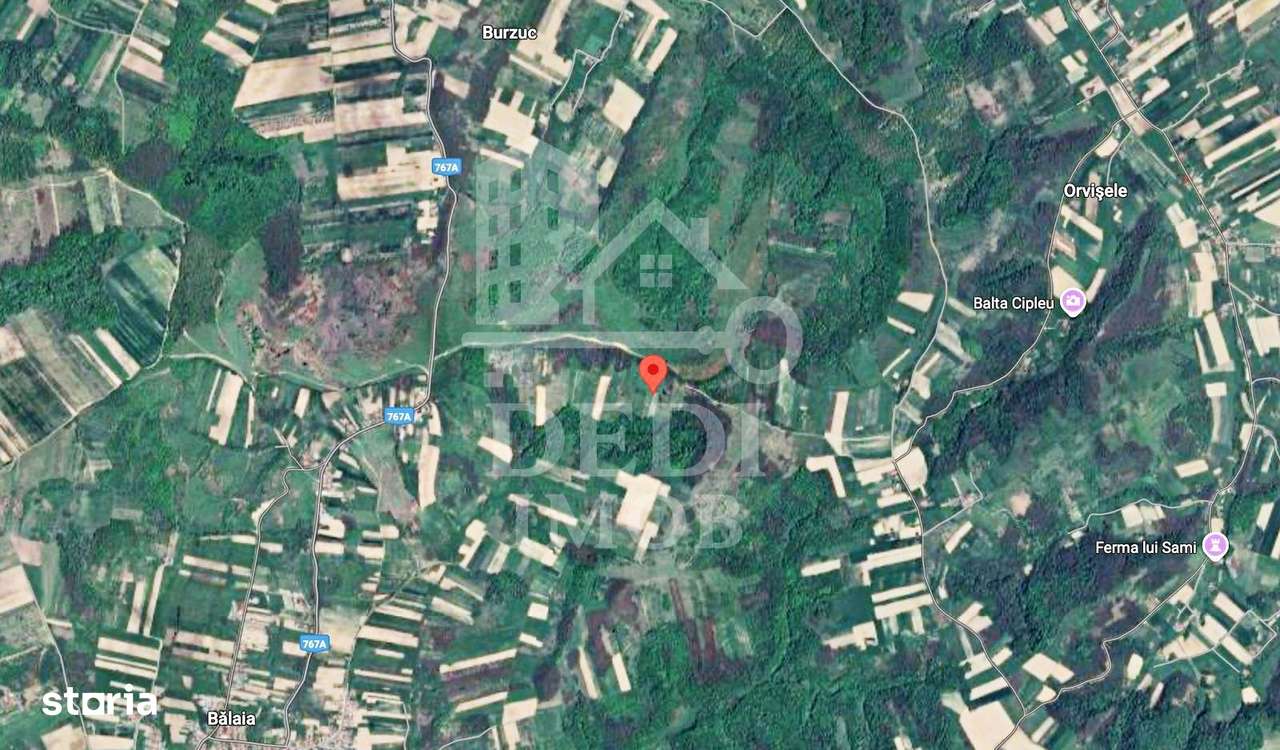 Teren 1 EURO/mp de vanzare in Tileagd-Balaia, Bihor - Imagine principală: 3/3