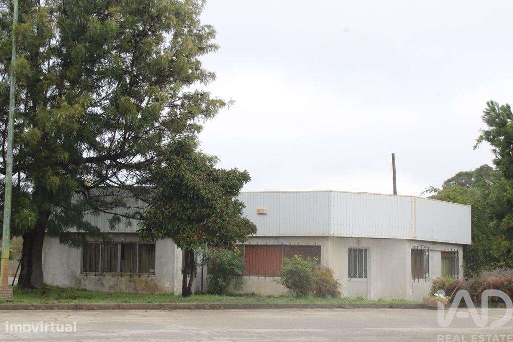 Prédio em Sarnadas de Ródão de 2210,00 m2 - Grande imagem: 5/29