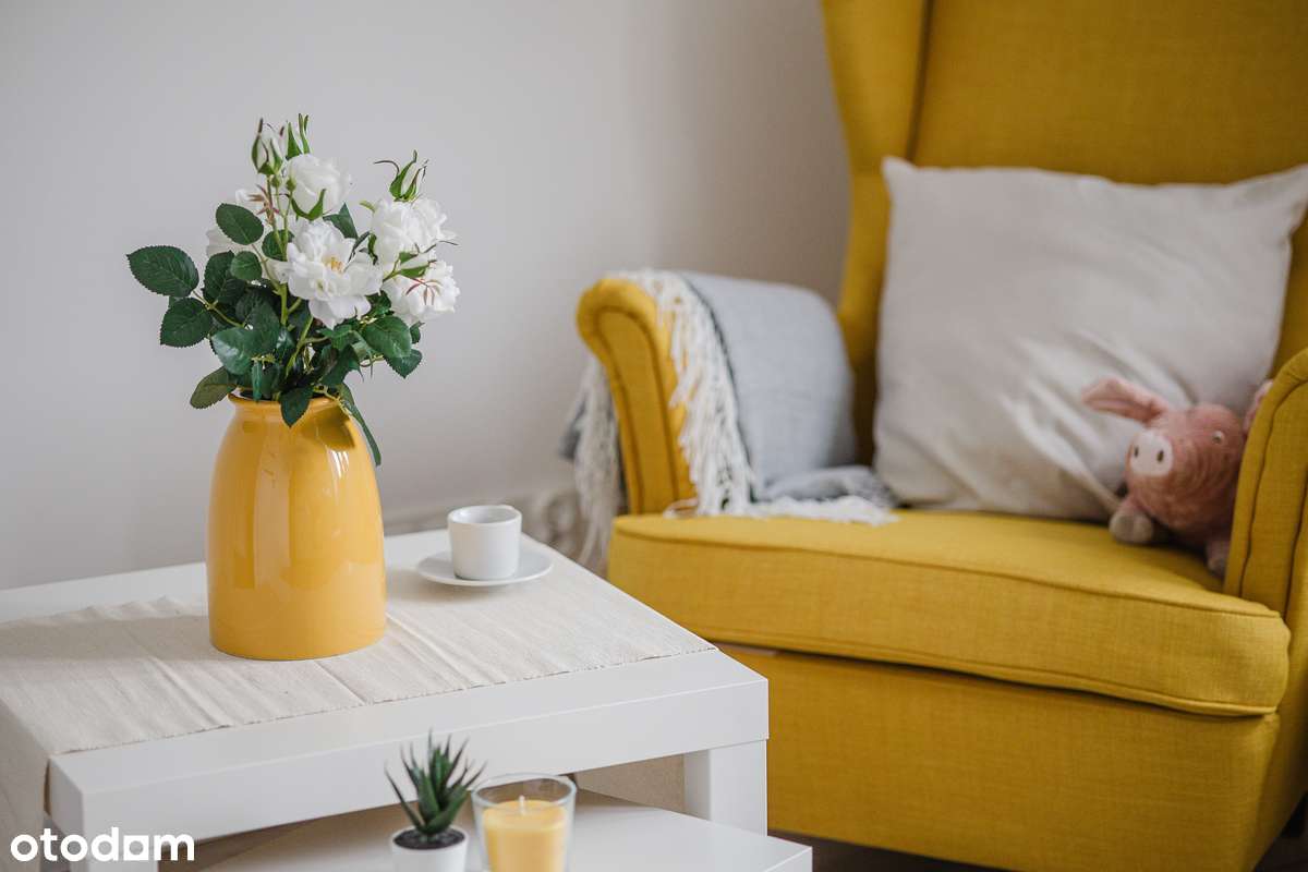 Wyremontowane, piękna willa miejska-0