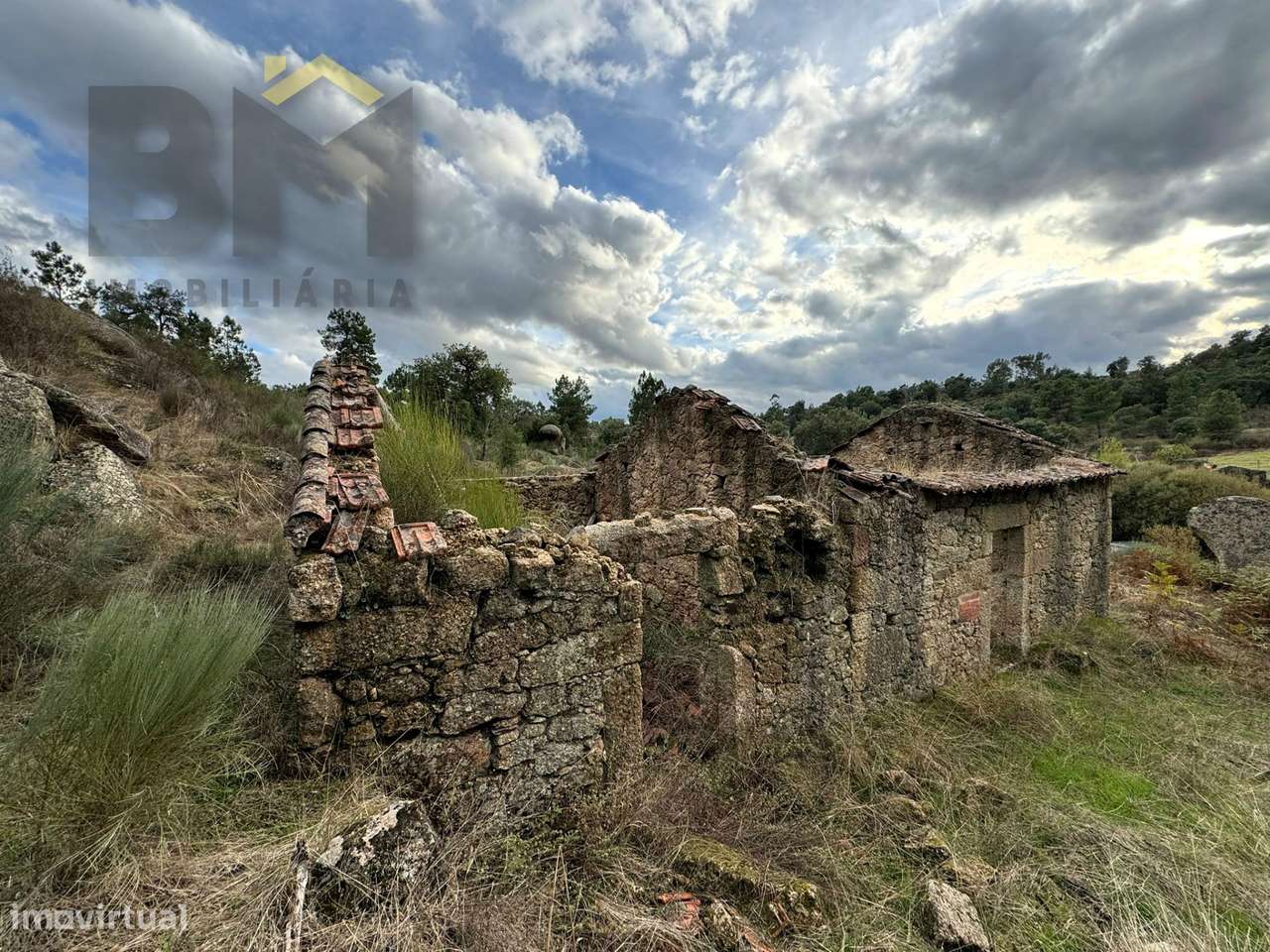 Quinta  Venda em Póvoa de Rio de Moinhos e Cafede,Castelo Branco - Grande imagem: 4/15