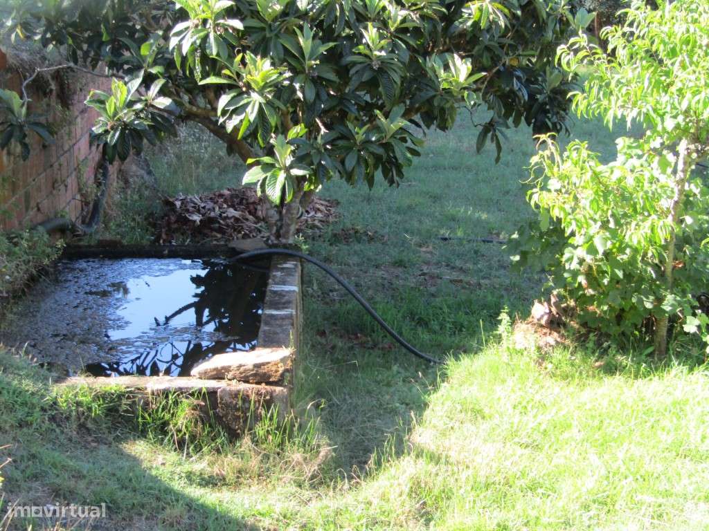 Casa da Taberna, Castelo de Bode, Abrantes-10