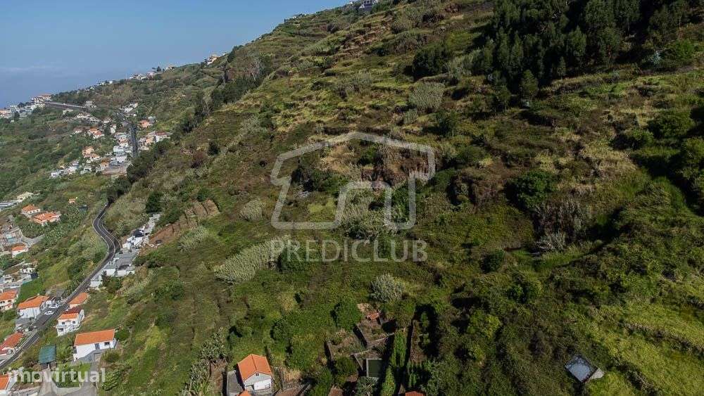 Terreno 500 m2 - Arco da Calheta-3