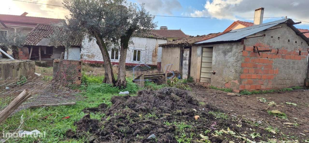 Moradia T2 para Recuperar com Terreno de 4.080 m² | Ferreira do Zêzere - Grande imagem: 4/29