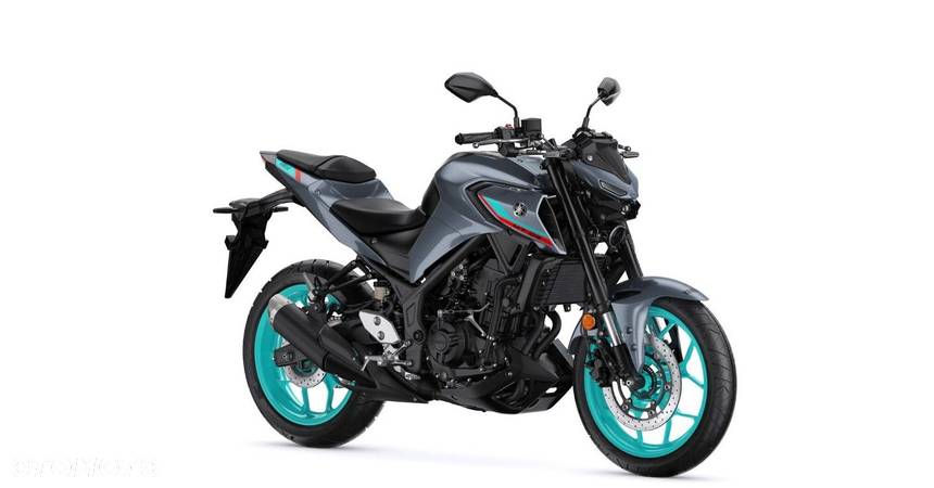 Yamaha MT - 6