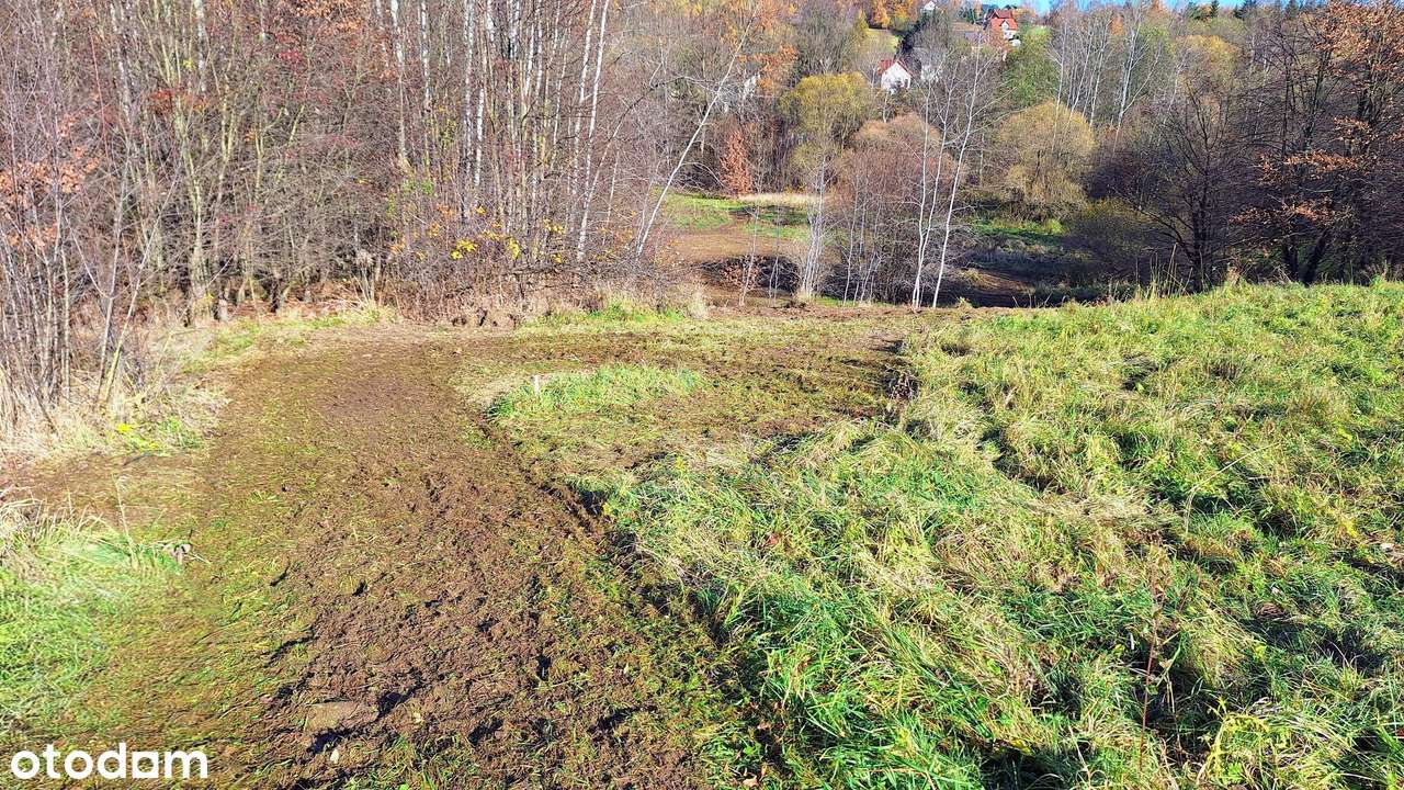 Łyczanka k/Sieprawia - Duża działka bud-rol przy lasku.-3