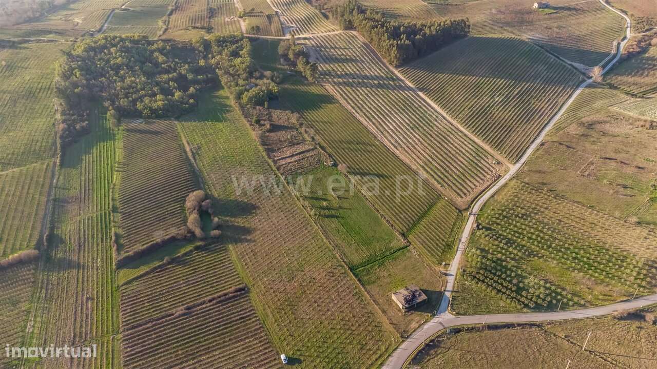 Quinta Estúdio / Covilhã, Orjais-17
