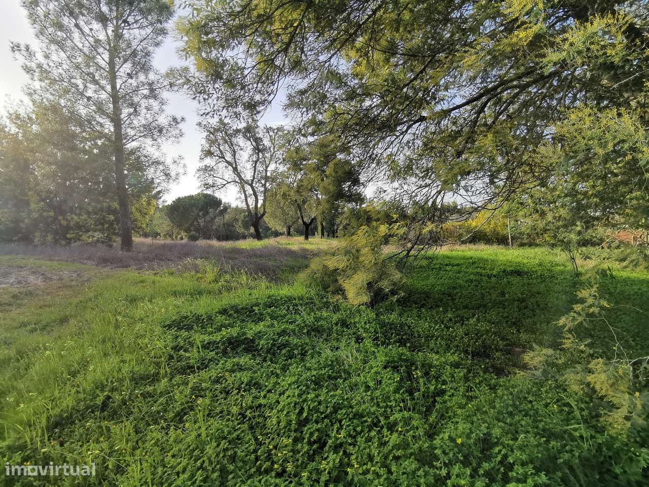 Moradia T2  Lamarosa de Coruche-47