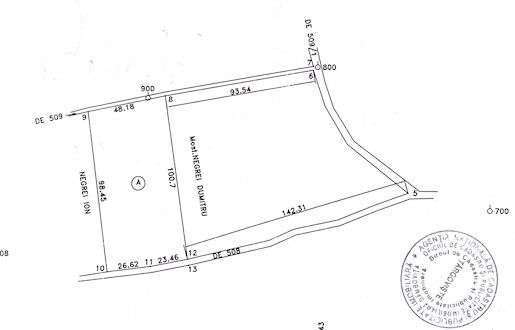 Proprietar Teren Butimanu Lucianca Hodarasti 10.000 mp - Imagine principală: 4/4