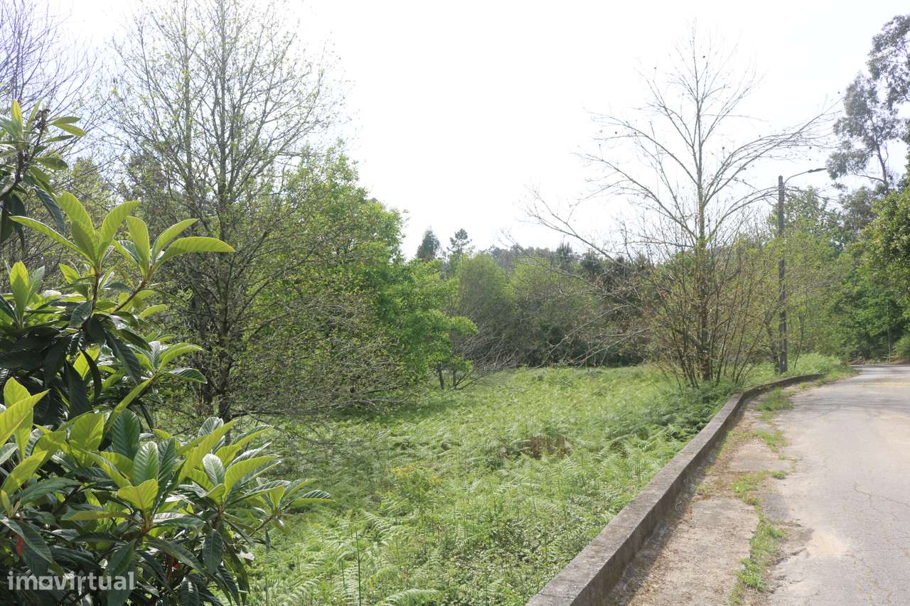 Moradia isolada com jardim e terraço em Amares-10