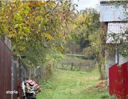 Teren faneata Vizantea Livezi , ID: R2800612-4