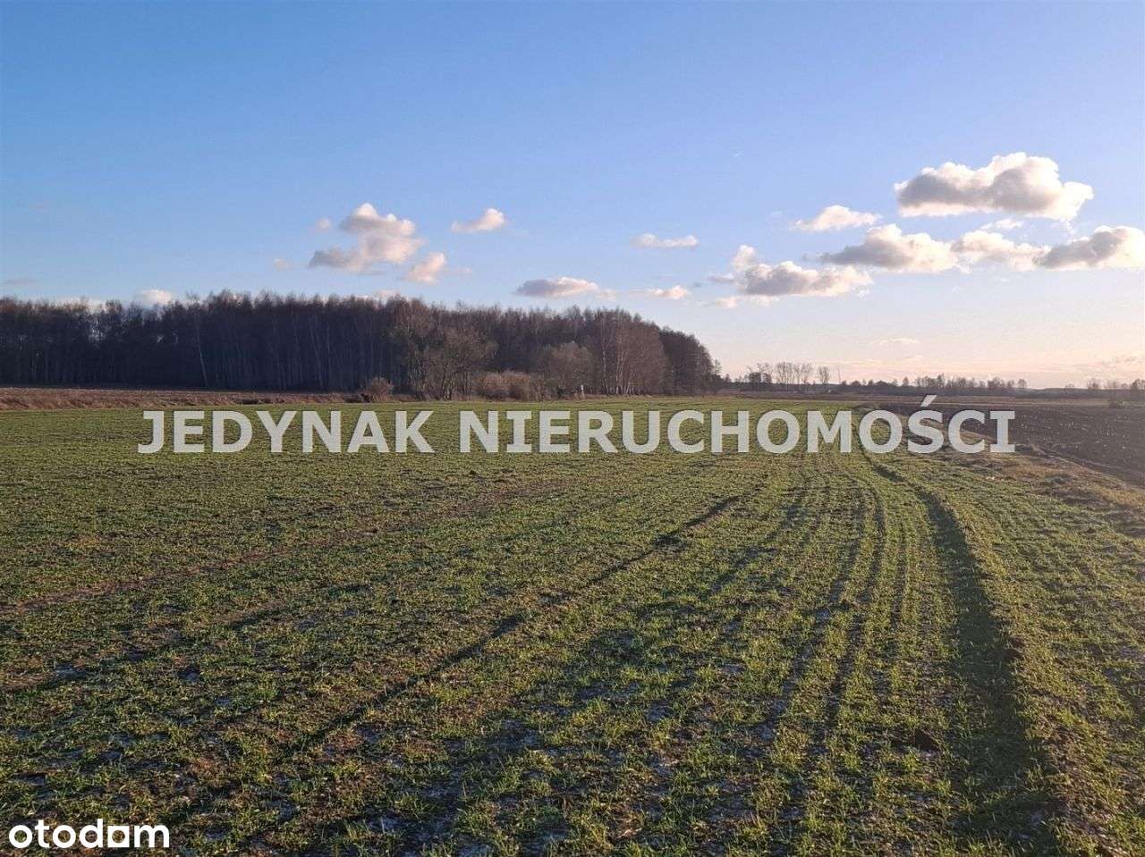 Działka, 1 000 m², Kruszyn Krajeński-0