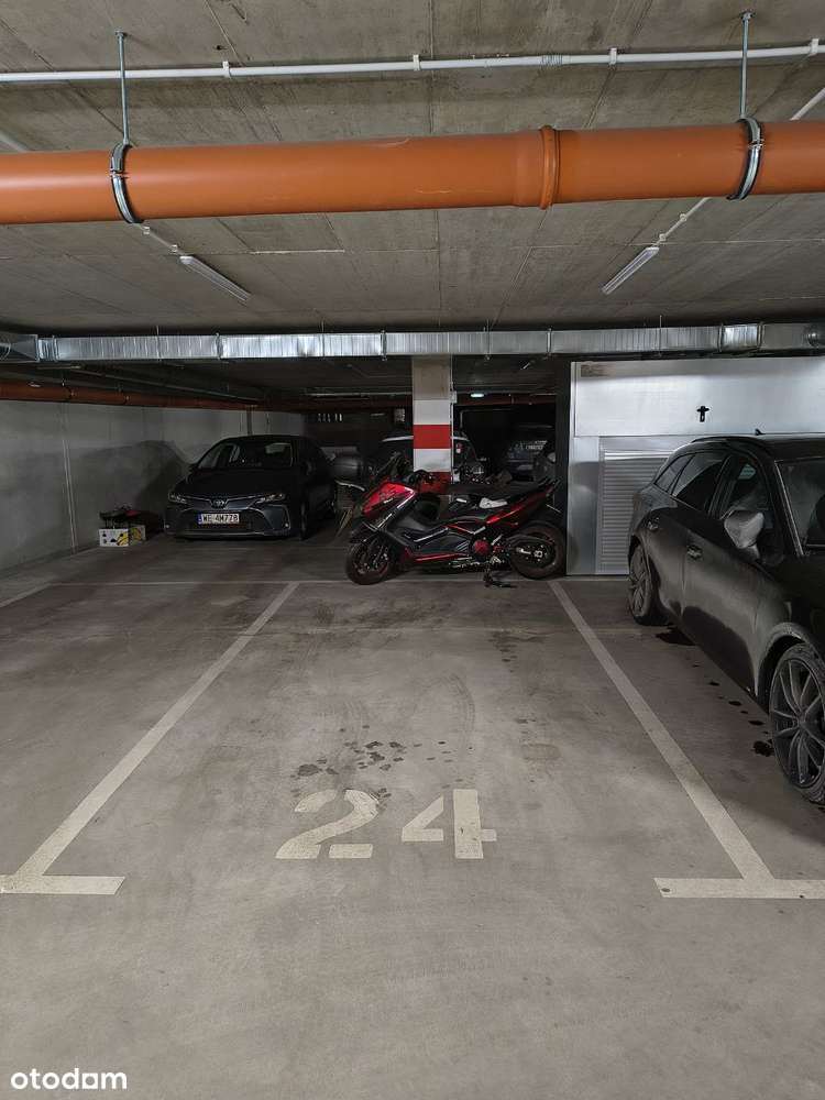 Do wynajęcia przestronne miejsce postojowe w garażu podziemnym.