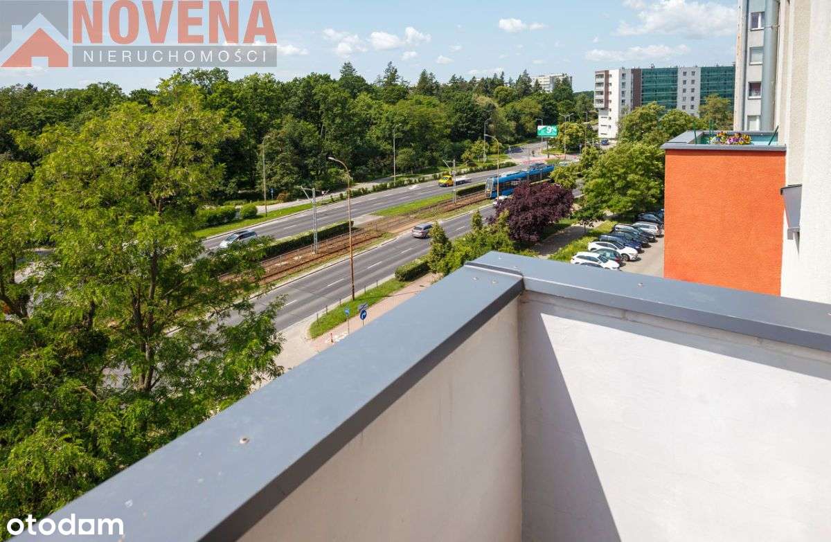 Hallera, balkon, piwnica-obok Park Grabiszyński - Pełny obrazek: 4/17