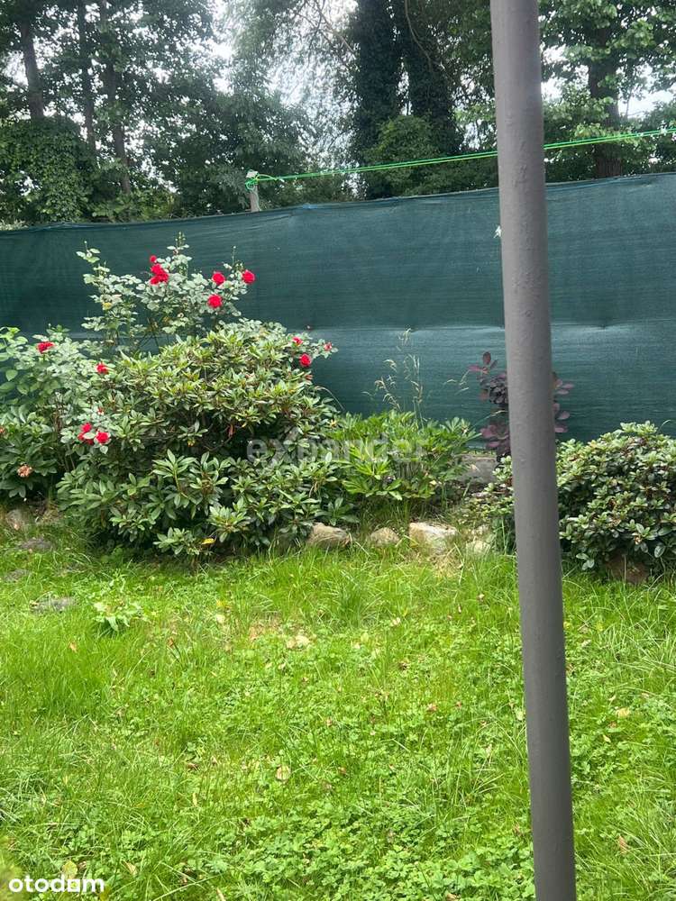 Piękne miejsce na wypoczynek i do zamieszkania - Pełny obrazek: 4/13