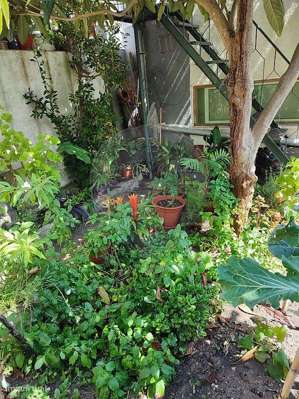 Apartamento T1 para venda-6