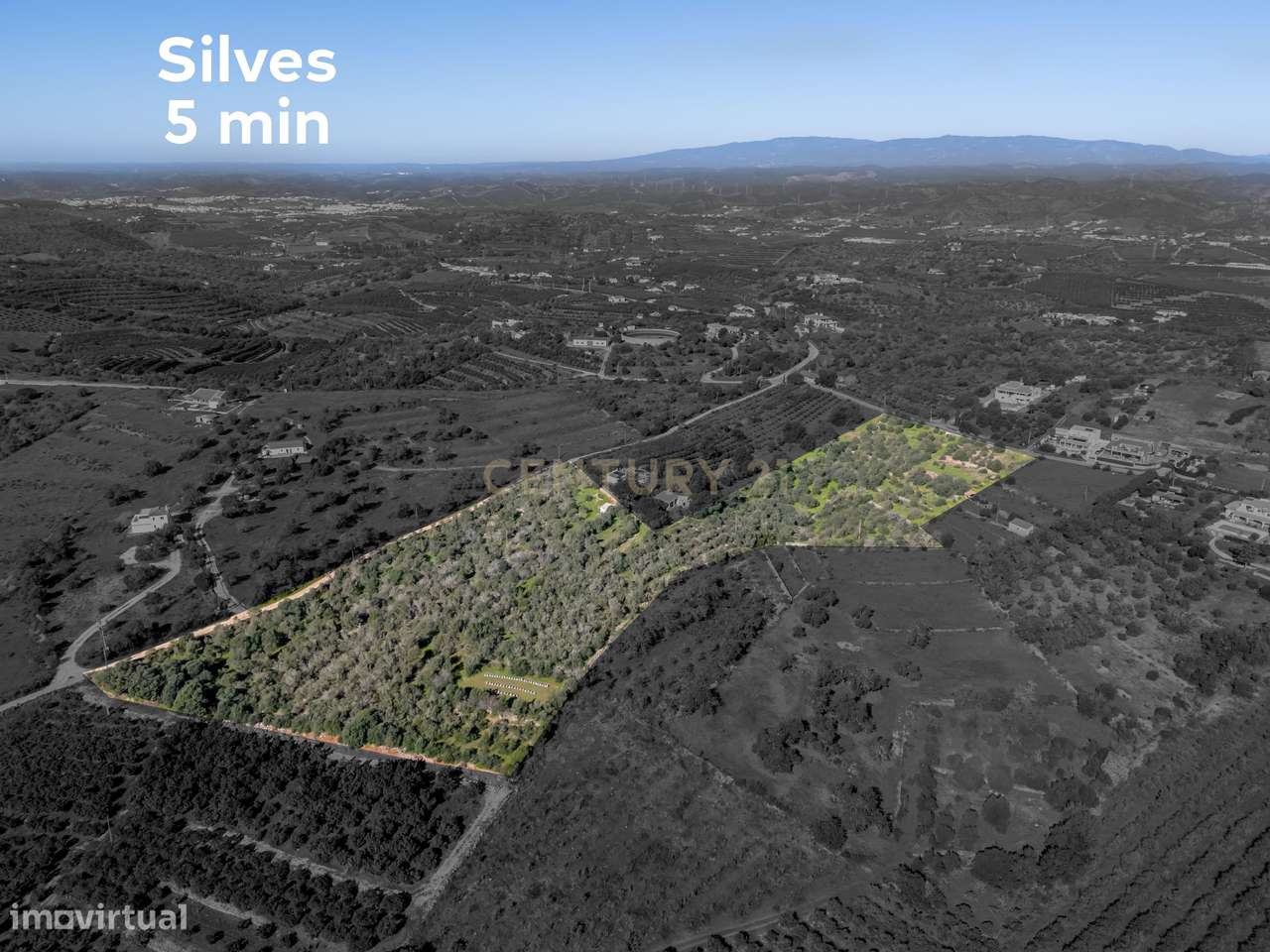 3 Terrenos Rústicos com 3,25 ha – Torre e Cercas, Silves - Grande imagem: 5/12