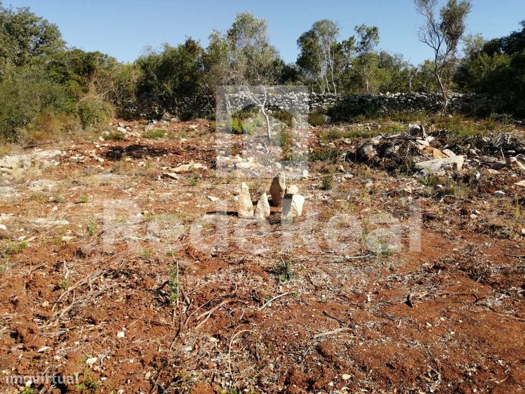 TERRENO RUSTICO EM LOULÉ - Grande imagem: 2/11