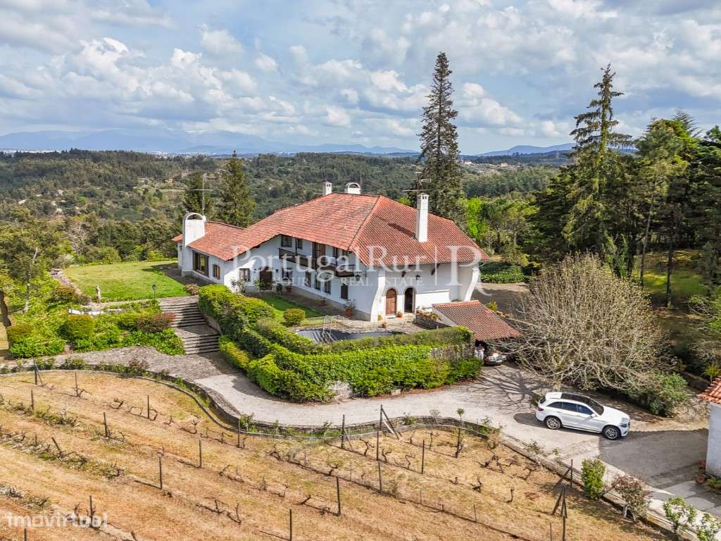 Quinta de 3,6ha com Casa Senhorial, Vinhas e Olival - Grande imagem: 4/60